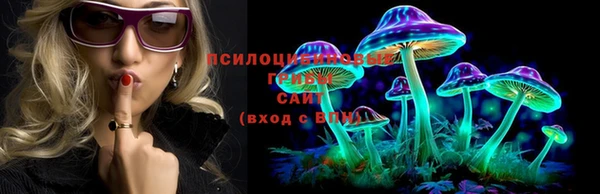 гидропоника Кулебаки