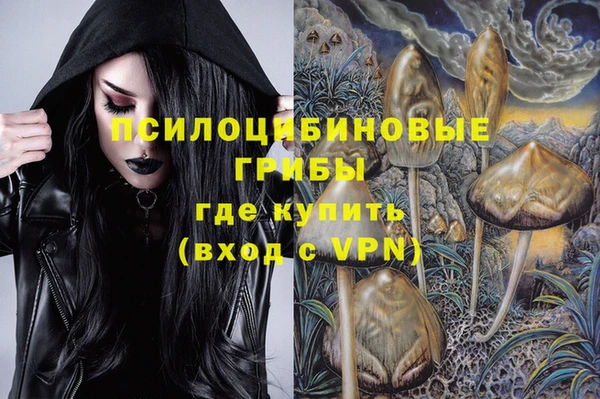 ешки Кукмор