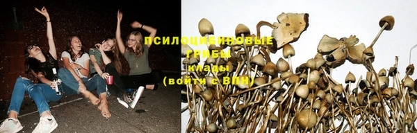 синтетический гашиш Куйбышев