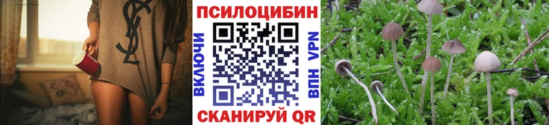 Галлюциногенные грибы GOLDEN TEACHER  как найти закладки  KRAKEN tor  Чаплыгин 